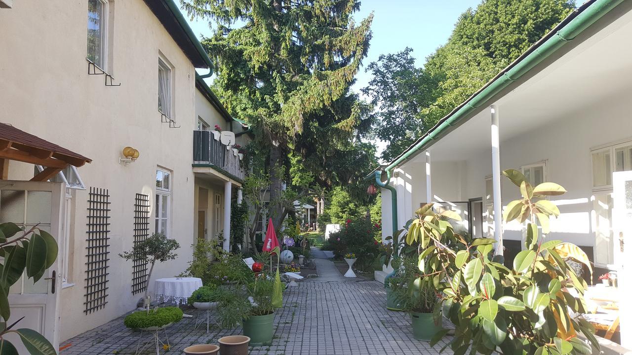 Pension Margit バーデン エクステリア 写真