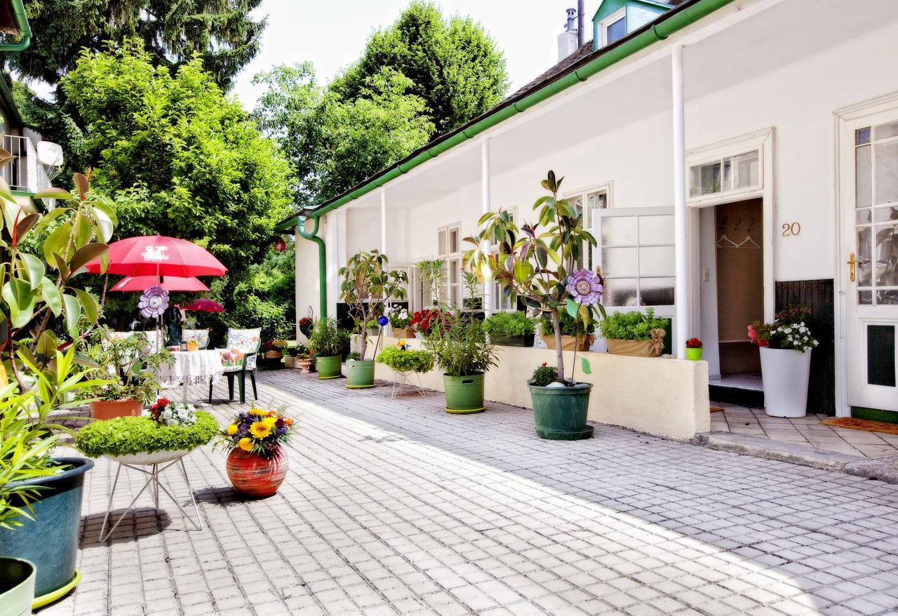 Pension Margit バーデン エクステリア 写真
